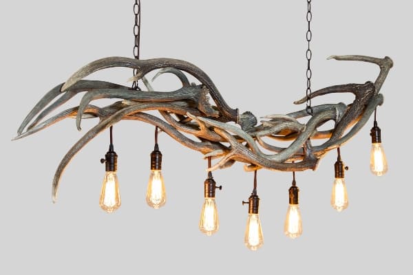 Seven Falls - Axis Deer