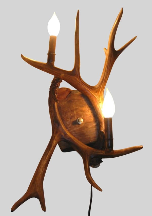 Mule Deer Antler Sconce