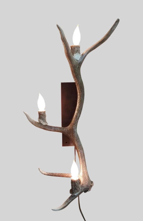Elk Antler Sconce